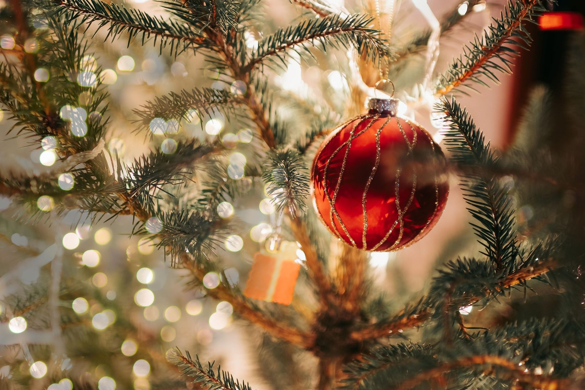 marina_bannicova-christmas-tree-7717938_1920